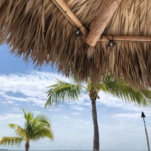 Meet your Posher, Caleb